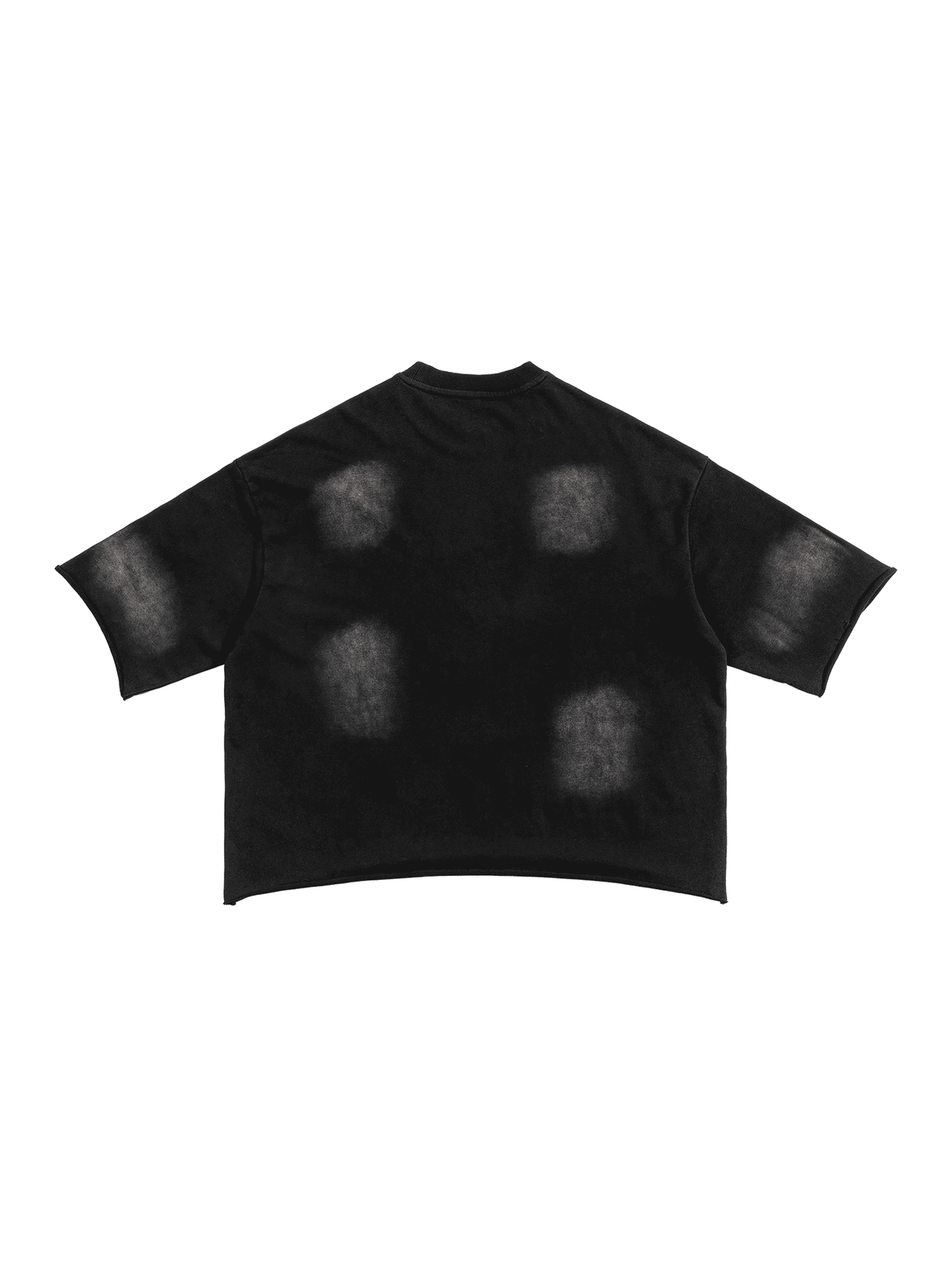 Sunfade French Terry Raw Edge T-Shirt