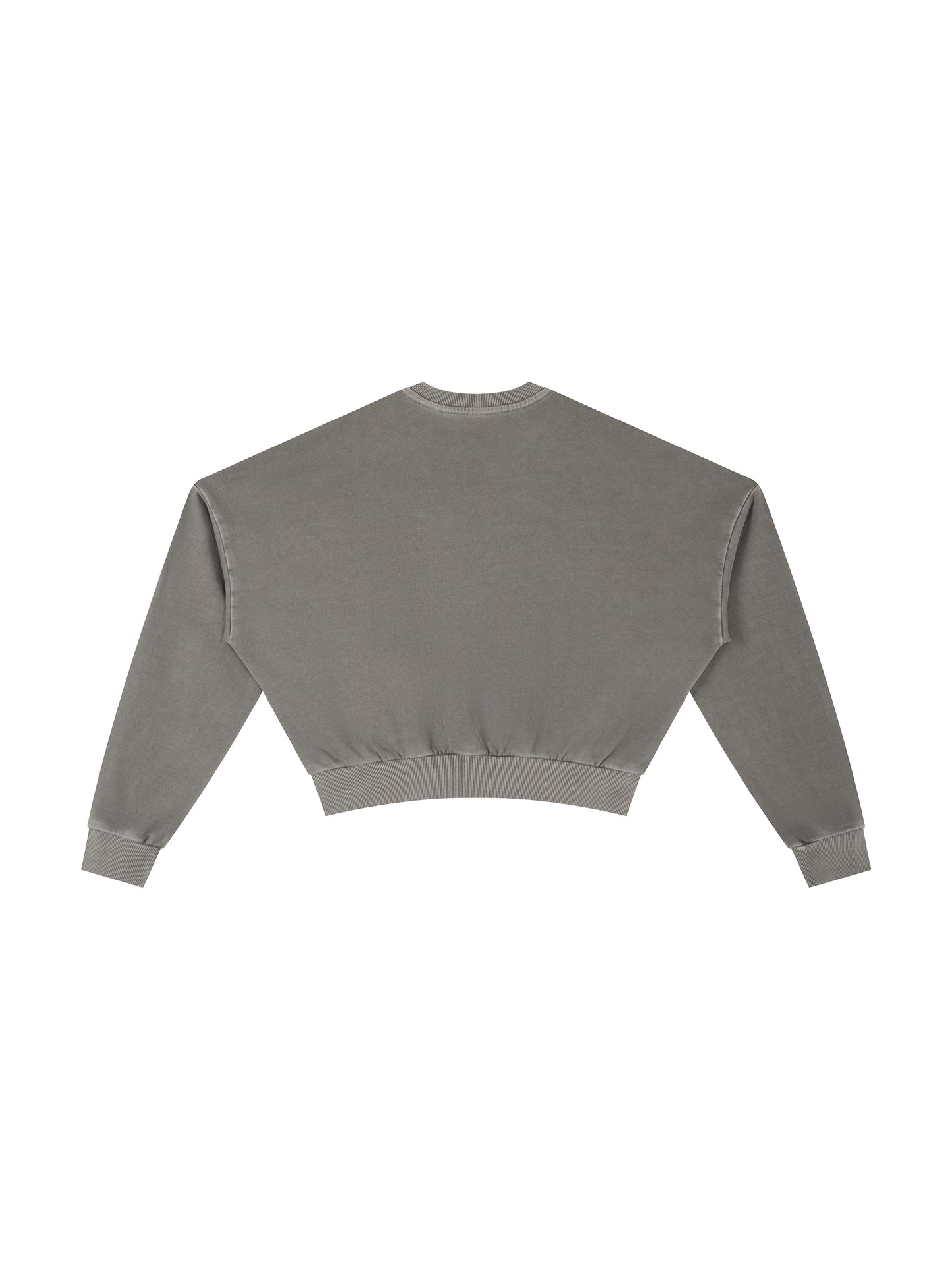 Vintage Washed Cropped Sweatshirt
